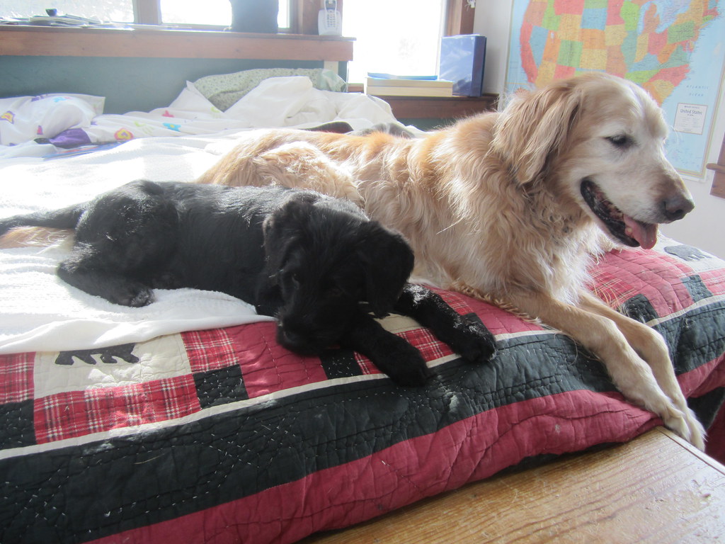 personal story scene